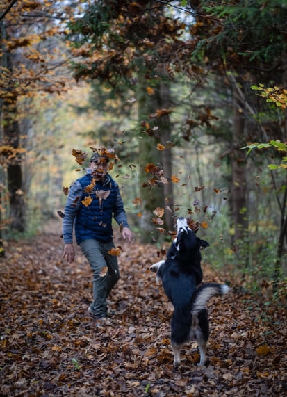 Tiergestützte Therapie für Jugendliche mit Therapiehund