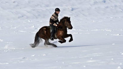 Felix Reiser mit Pipar vom Hexenbuckl