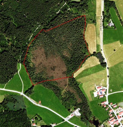 Das Ebenbergfilz am nordwestlichen Ortsrand von Schöneck, Gem. Dietramszell, mit dem LBV-Grundstück (rote Grundstücksgrenze). Luftbild: Bayerische Vermessungsverwaltung, Lizenz: CC BY 4.0 (*)