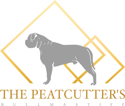 The Peatcutter's Bullmastiffs