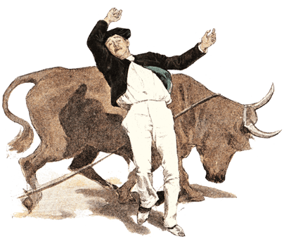 orthe, landes, aquitaine, peyrehorade, course landaise, ganaderia, sauteur, cordier, talanquère, vache