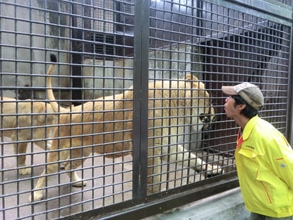 東京インテリア/東京デザインセンター/家具/インテリア/栃木県鹿沼市/宇都宮動物園