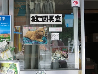 東京インテリア/東京デザインセンター/家具/インテリア/栃木県鹿沼市/宇都宮動物園