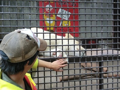 東京インテリア/東京デザインセンター/家具/インテリア/栃木県鹿沼市/宇都宮動物園