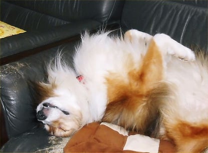 2013.12.27 after midnight