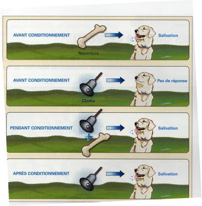 Le condionnement répondant, 1ere vague TCC