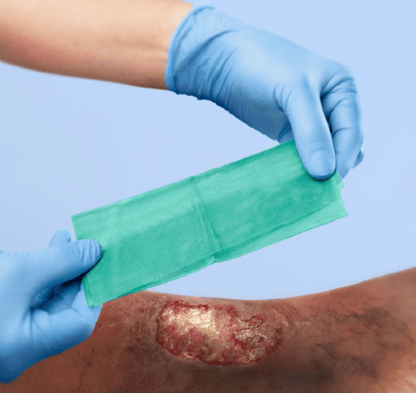 Mikroskopische Ansicht von Bakterien