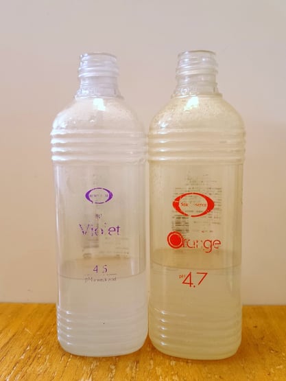 ベルジュバンス デトックス