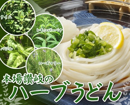 ハーブうどん　紹介画像