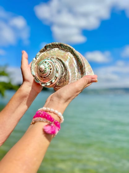 Giga Turbo Marmoratus perlmut Blasmuschel  grosse Muschel  riesenmuschel