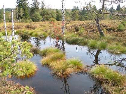 Eglinger Filz 2012, Foto: Andrea Arends