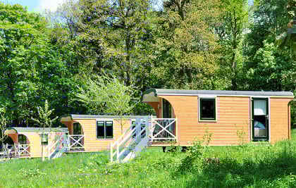 Eselwandern-eifel-petra-landsberg-bongard-übernachtung-ferienwohnung-schäferwagen-03