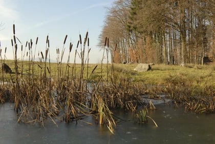 Bei der Panzerpiste Foto: Leo Wyden