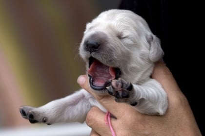 brauche noch viel Schlaf