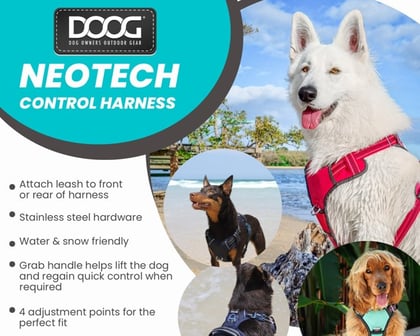 hondentuig met ring vooraan