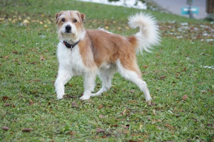 Foto von Monika Gerrits