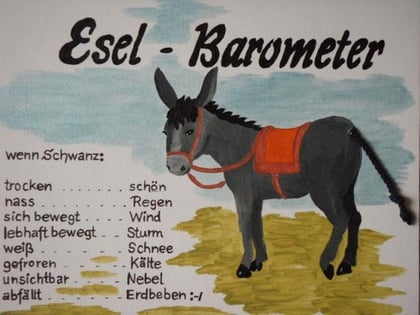 Eselschwänzchen ist aus Wolle angeklebt :-)