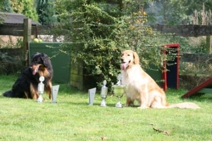 Starfoto mit "Eneco von der Blauen Stever"