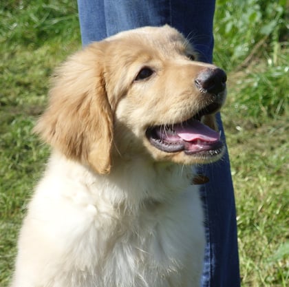 ... nach wie vor ein Sonnenschein (09.10)