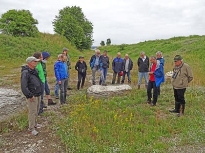 eine sehr seltene späteiszeitliche Kalklandschaft