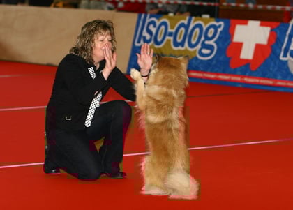 Dogdance Winterthur 2008