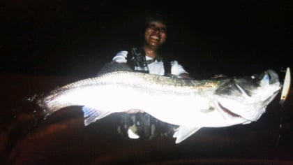 熊本県　ロウディー１３０Ｆテスト