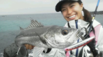 長崎県　ロウディー１３０Ｆテスト