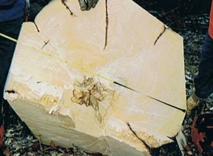 verschiedene Einsätze