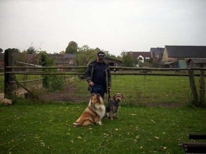 Sir Castello of little Queensland