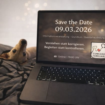 Foto: ©Claudi Scheiblich