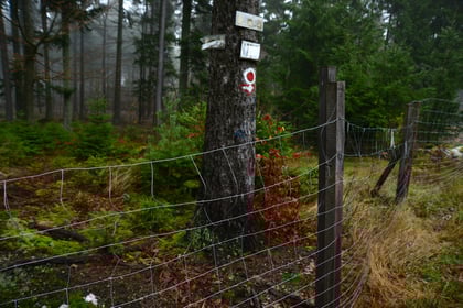 Hier ging es einmal zur Heiligenkammer!