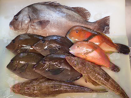 出前館　宅配寿司