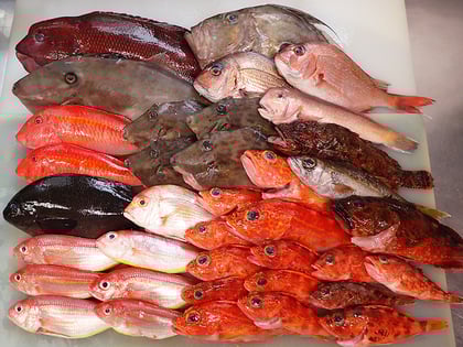 美味しい宅配寿司　出前　中央区