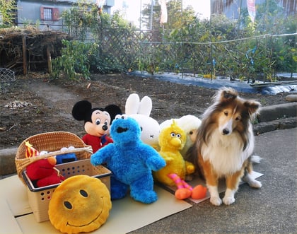 2013.10.28 (Mon) beside LL Garden