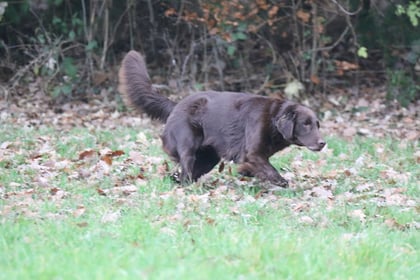 Bild: K. Schuhmacher