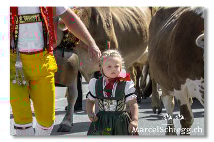 Marcel Schiegg, Fotografie, Brauchtum, Tradition, Alpfahrt, Öberefahre, Alpaufzug, Alpabzug, Alpstein, Appenzell, Schweiz, Appenzeller Tracht