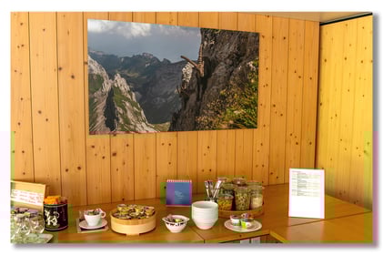 Schnäppchen, Wandbild, Marcel Schiegg, Shop, Steinbock, Tradition, Brauchtum, Alpstein, Appenzell, Appenzellerland, Fotografie, Geschenkidee