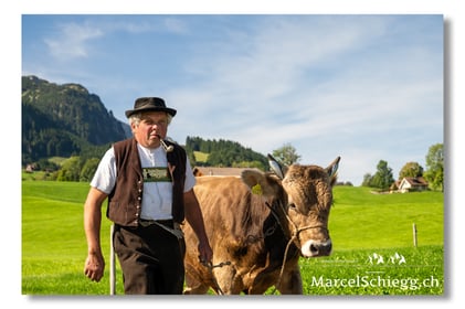 Marcel Schiegg, Fotografie, Brauchtum, Tradition, Alpfahrt, Öberefahre, Alpaufzug, Alpabzug, Neuenalp, Alpstein, Appenzell, Schweiz