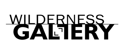 Wilderness Gallery - NZ made fine art & gifts