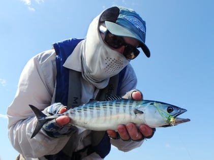 Bonito caught with a Clouser Minnow fly