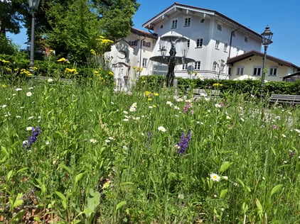 Foto: Sabine Tappertzhofen