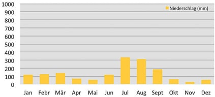 Klimadiagramm - Niederschläge am Kuari Pass in Garhwal