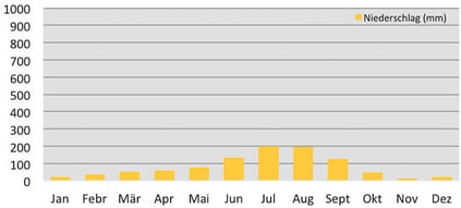 Durchschnittliche Niederschläge in Samdo während der Manaslu-Umrundung in Nepal