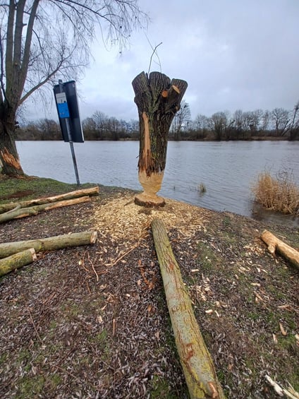 bieckers-motorsaegen.de