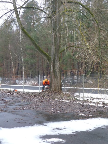 bieckers-motorsaegen.de