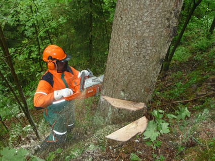 verschiedene Einsätze