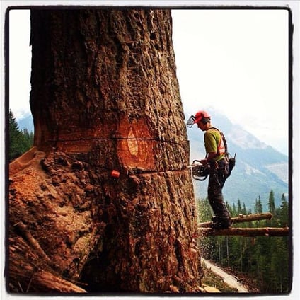 verschiedene Einsätze , Querbeet