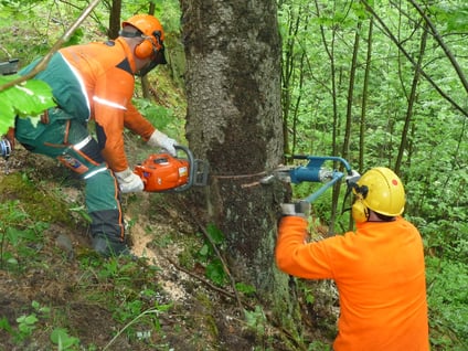 verschiedene Einsätze