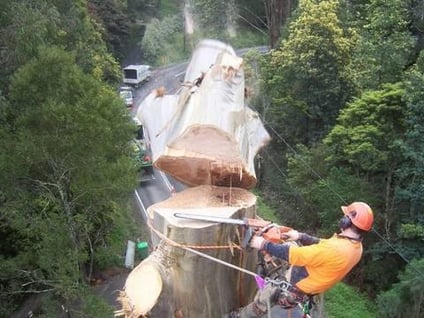 verschiedene Einsätze , Querbeet