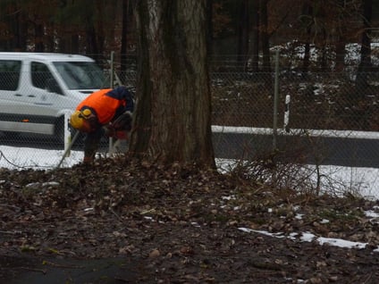 bieckers-motorsaegen.de
